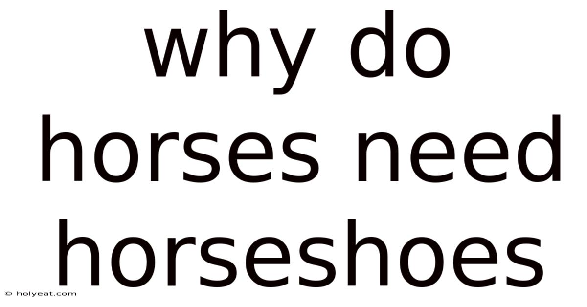 Why Do Horses Need Horseshoes