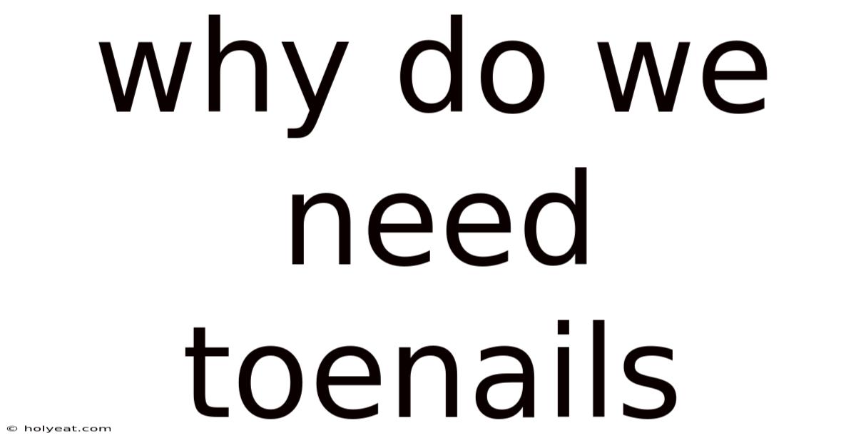 Why Do We Need Toenails