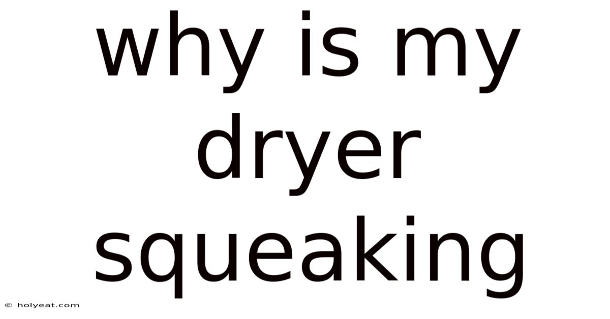 Why Is My Dryer Squeaking