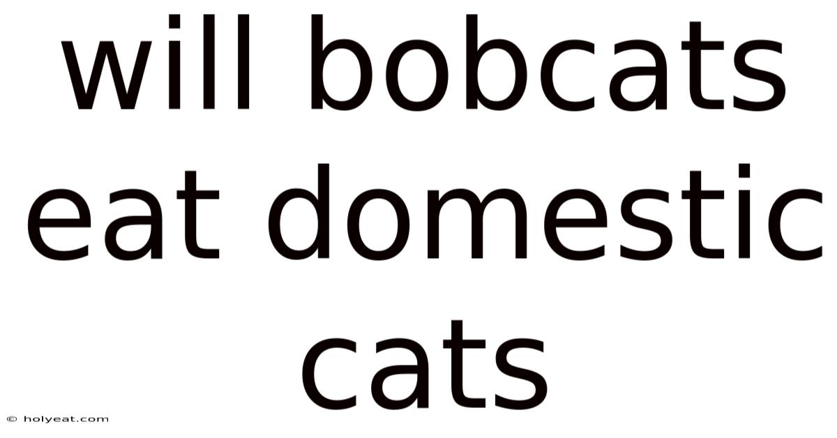 Will Bobcats Eat Domestic Cats