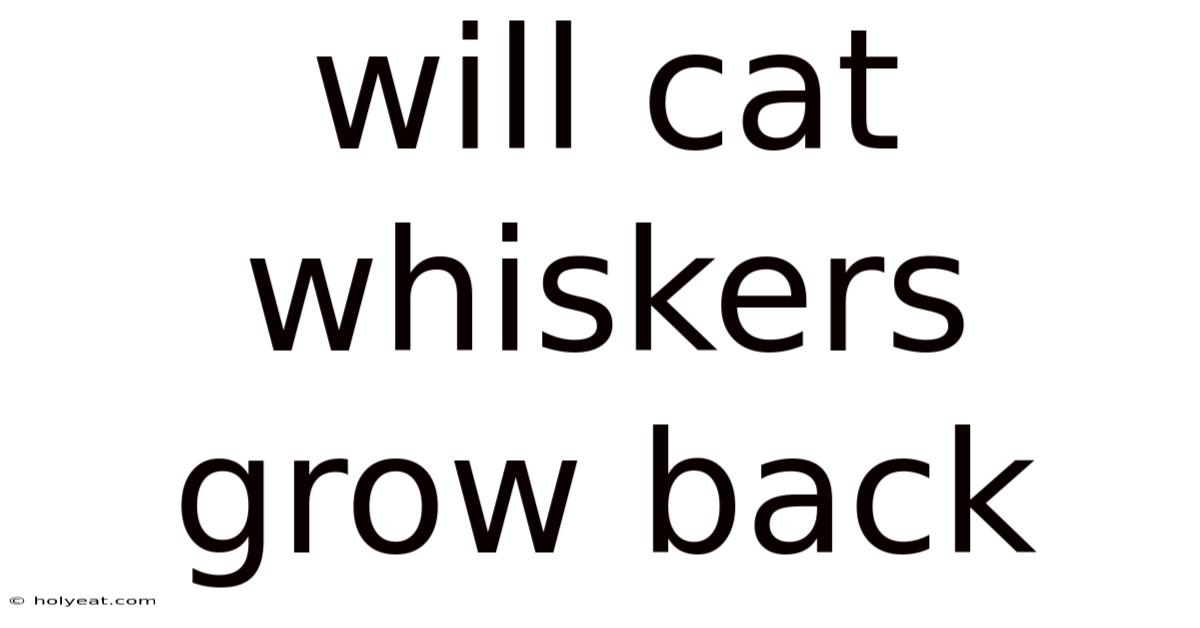 Will Cat Whiskers Grow Back
