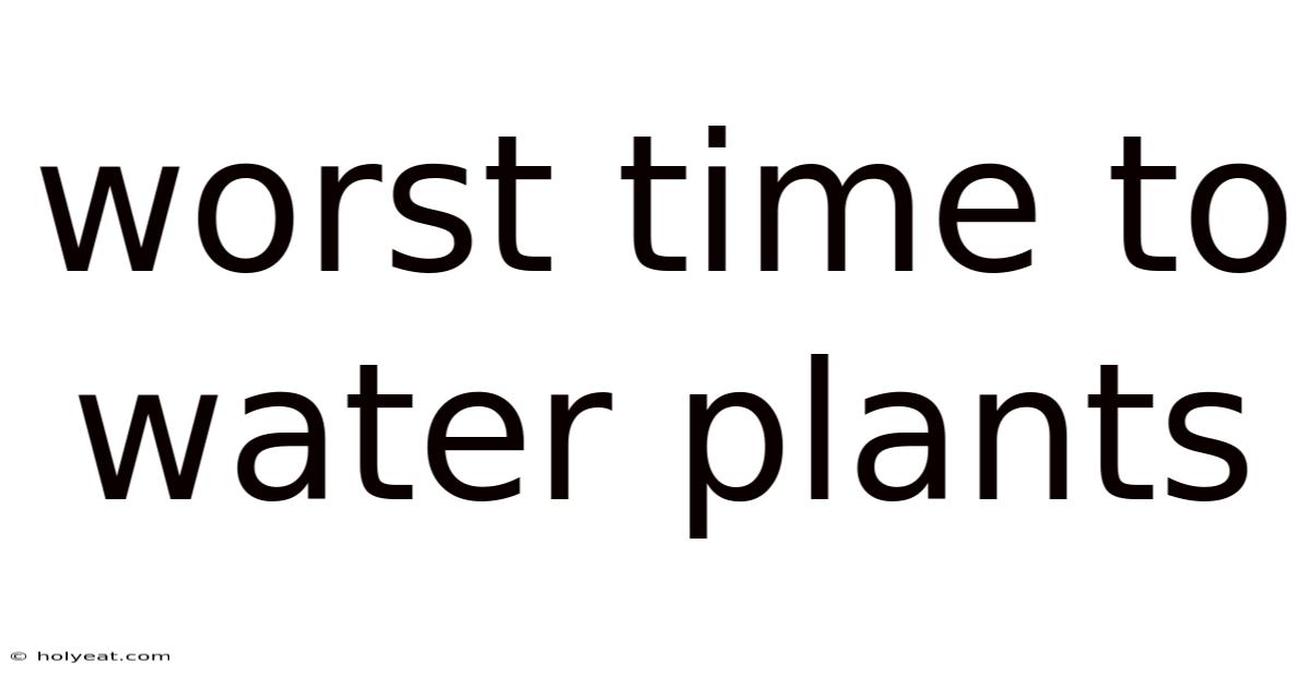 Worst Time To Water Plants